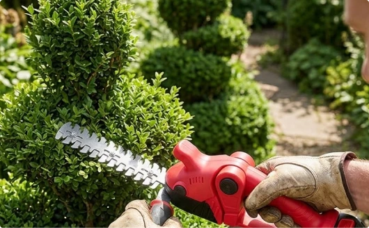 Topiary shaping