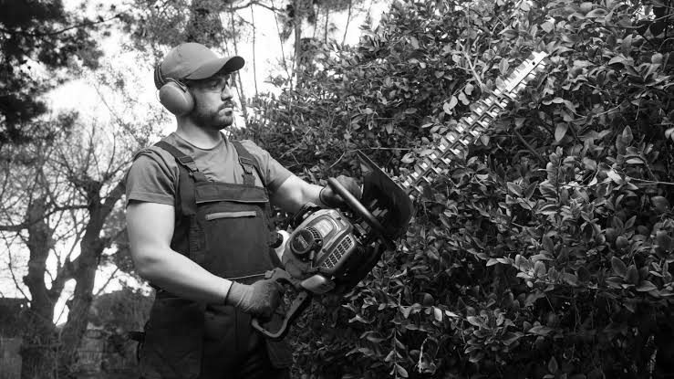 Traditional hedge trimmer
